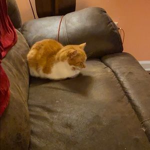 Meet your Posher, Thomas